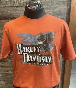 Mt. Rainier Harley-Davidson® Freedom Eagle Seattle T-Shirt