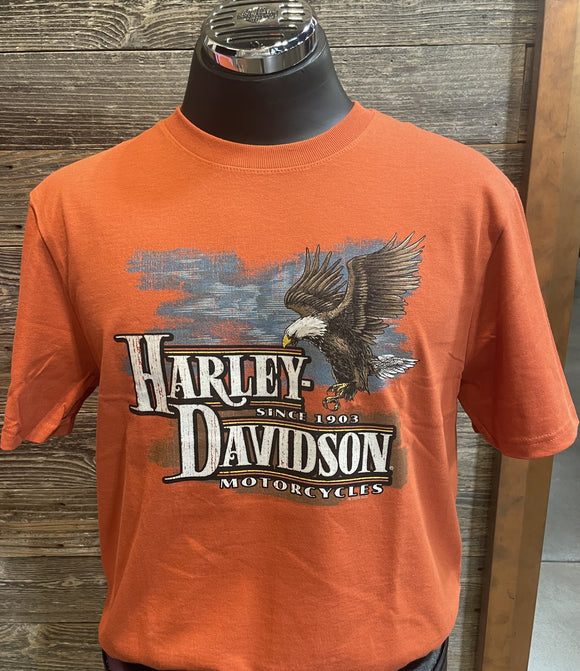 Mt. Rainier Harley-Davidson® Freedom Eagle Seattle T-Shirt