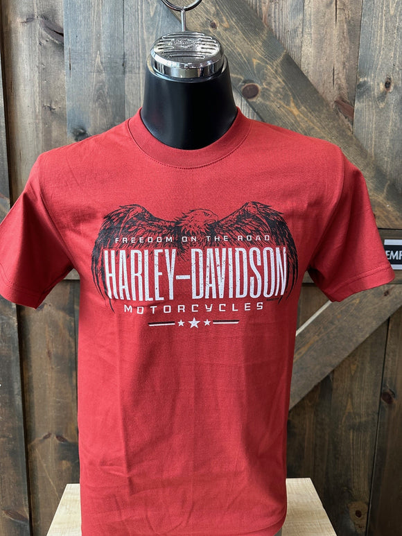 Emerald City Harley-Davidson® Skull Wing Dealer Back T-shirt