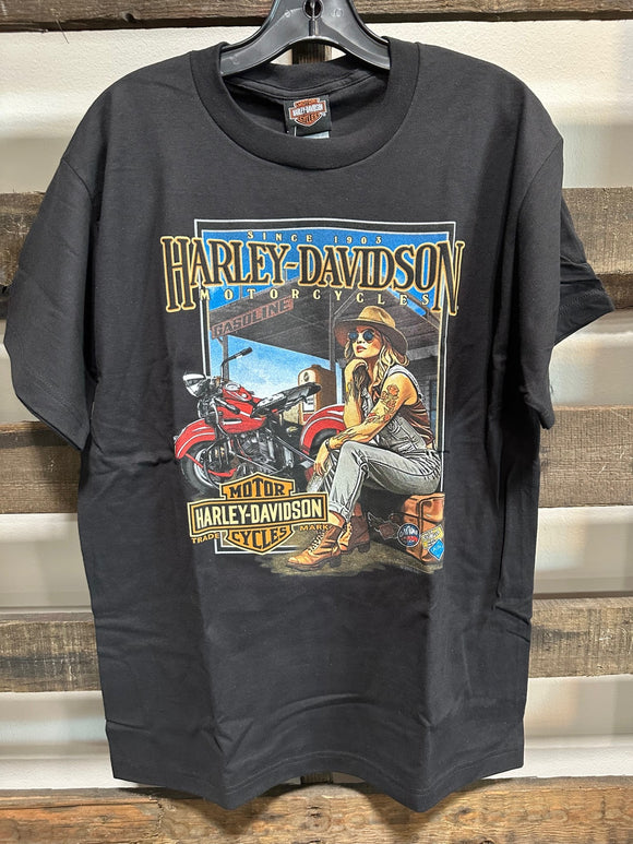 Emerald City Harley-Davidson® Hangin Out Moose Back